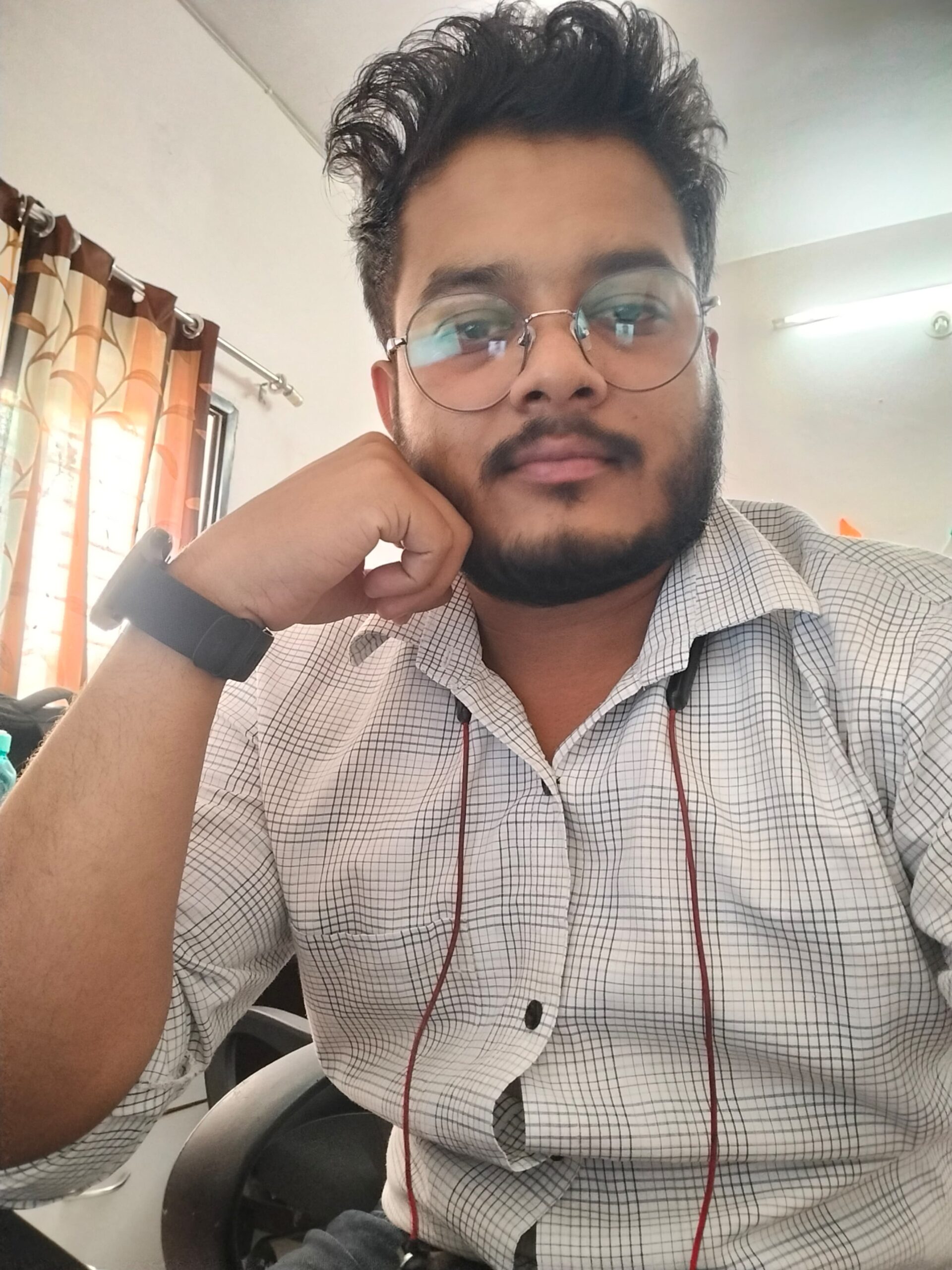 Software Developer